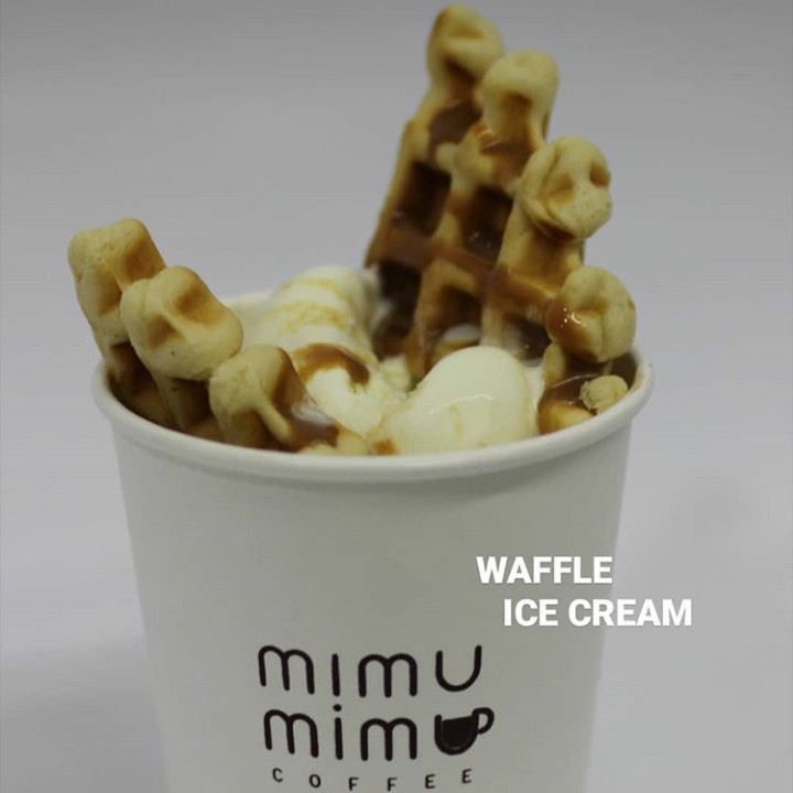 Waffle Ice Cream