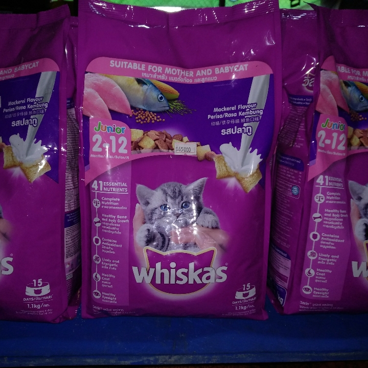 Whiskas Junior Mackarel Flavour