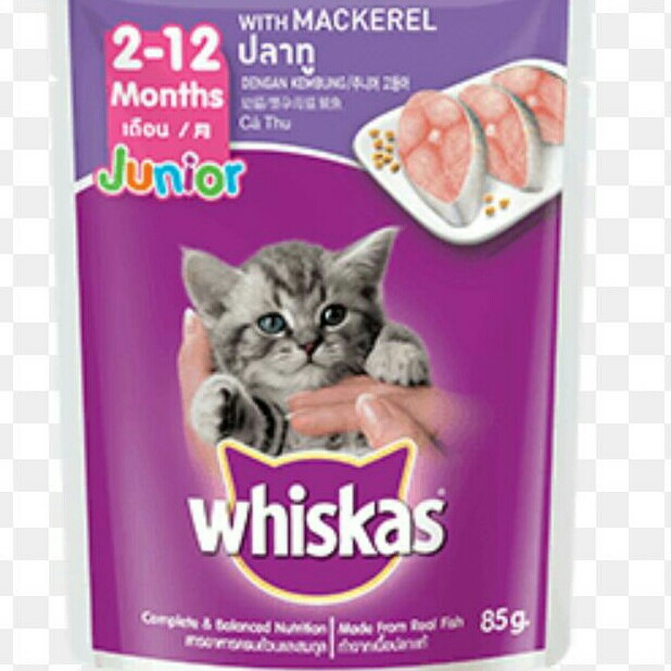 Whiskas Junior Mackerel