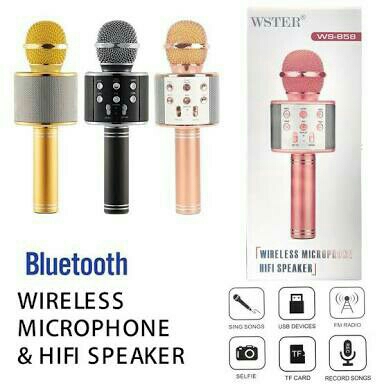 Wireless Mocrophone  Hifi Speaker WSTER