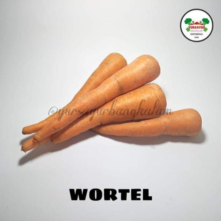 Wortel