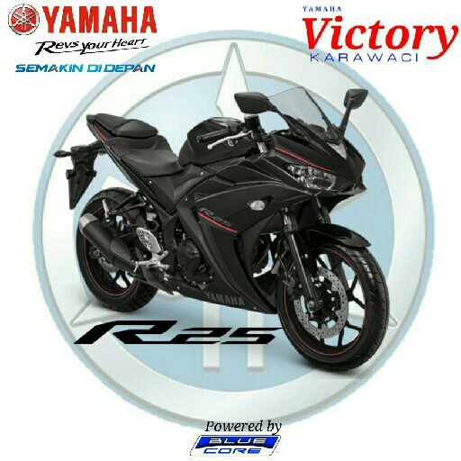 Yamaha R25