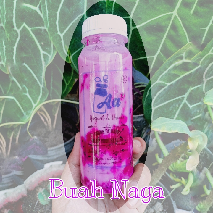 Yogurt Buah Naga