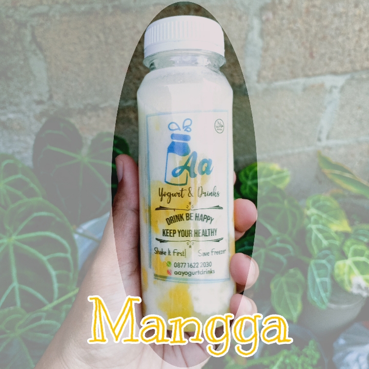 Yogurt Mangga