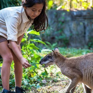 Bali Zoo General Admission Ticket