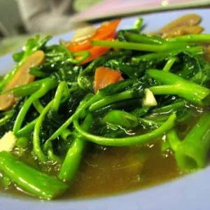 cah kangkung 