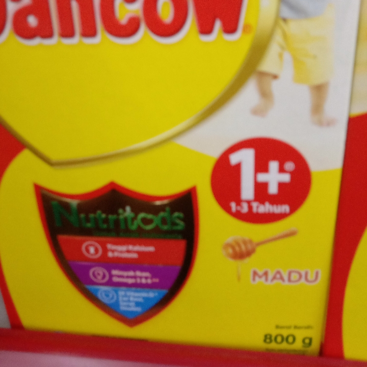 dancow1plus Madu 800g