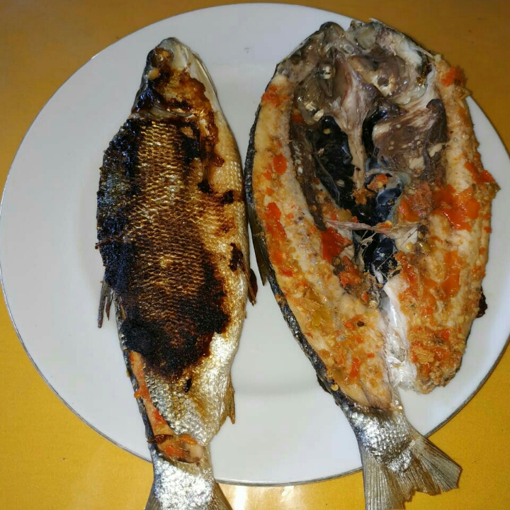 ikan bakar bolu