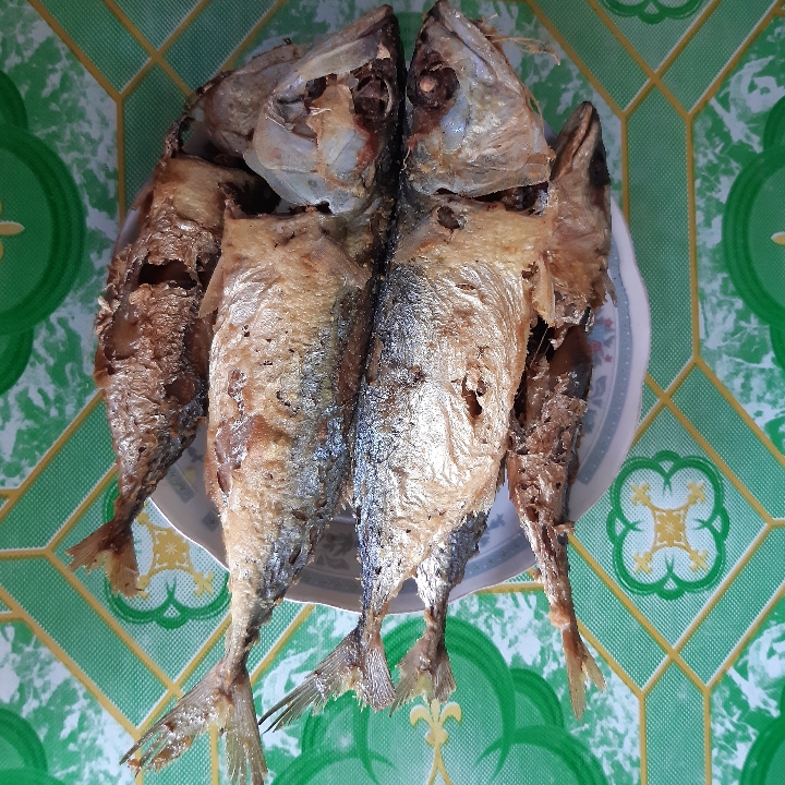 ikan kembung