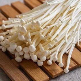 jamur enoki