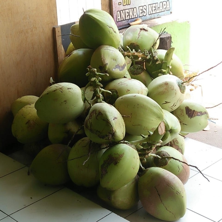 kelapa satuan