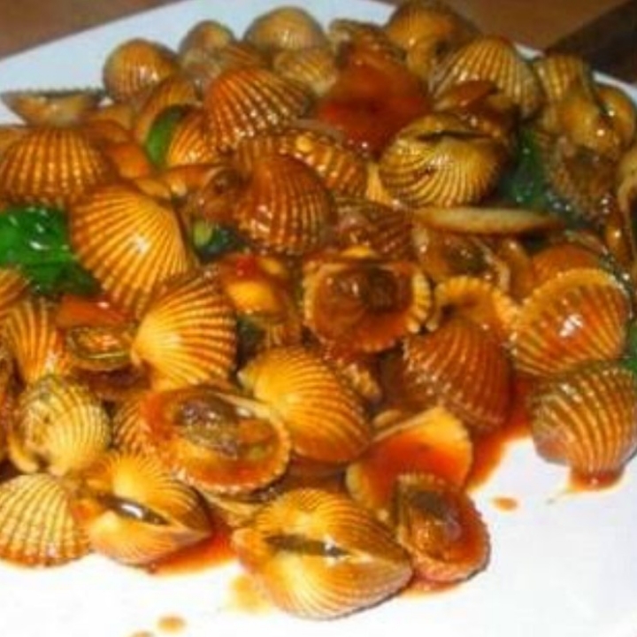 kerang dara