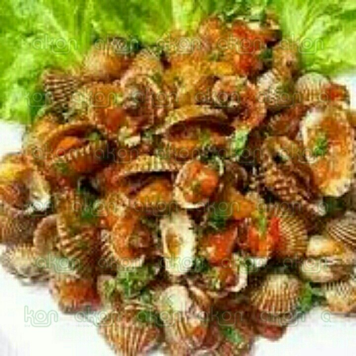 kerang saos padang