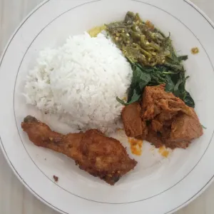 nasi ayam negri goreng