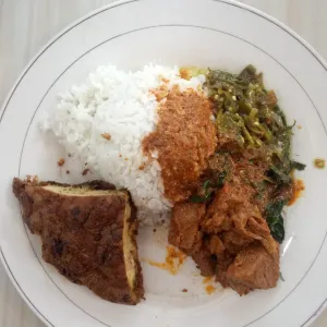 nasi dadar