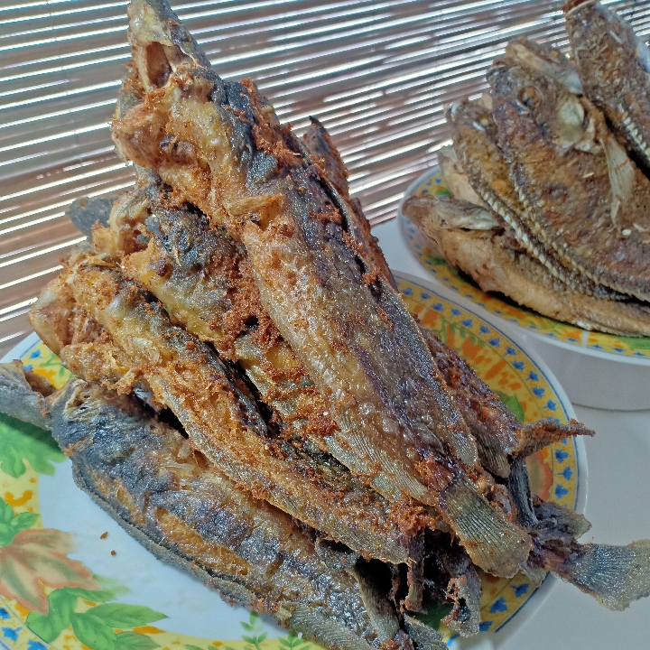 nasi ikan lele goreng