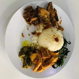 nasi paru