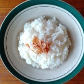 nasi putih