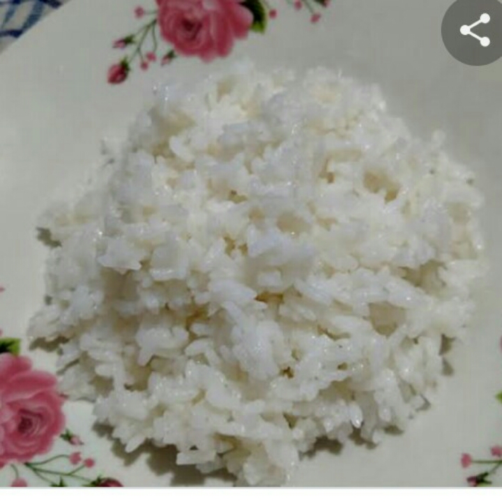 nasi putih