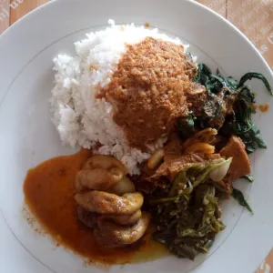 nasi usus