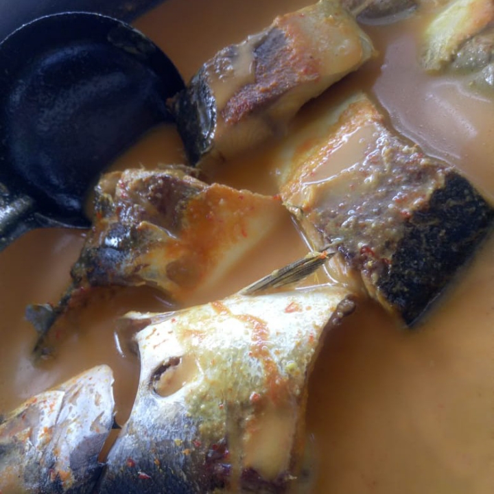 nasirames gulai ikan selo