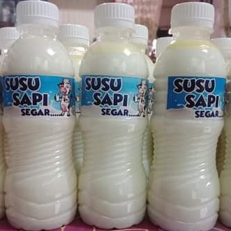 susu sapi segar