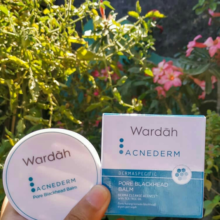 wardah acne derm face powder