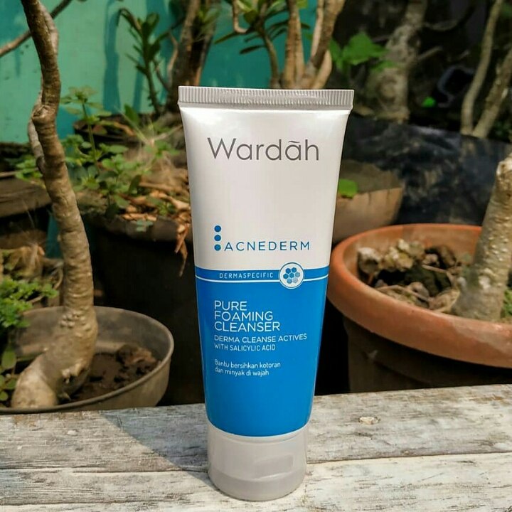 wardah acne derm facial wash 