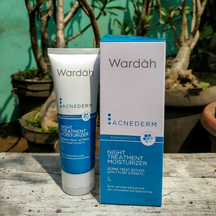 wardah acne derm night cream 